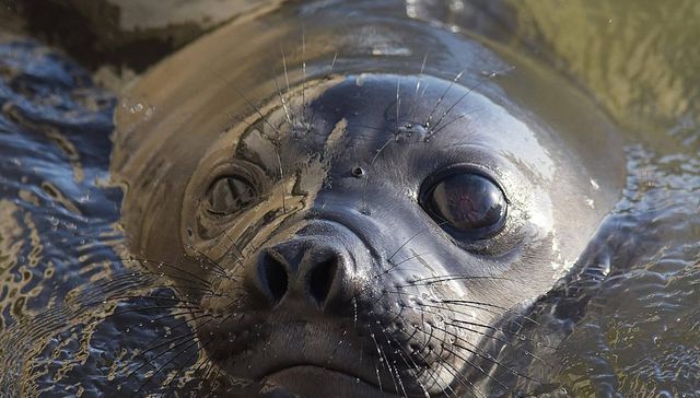 Que haga 8 horas y pague impuestos