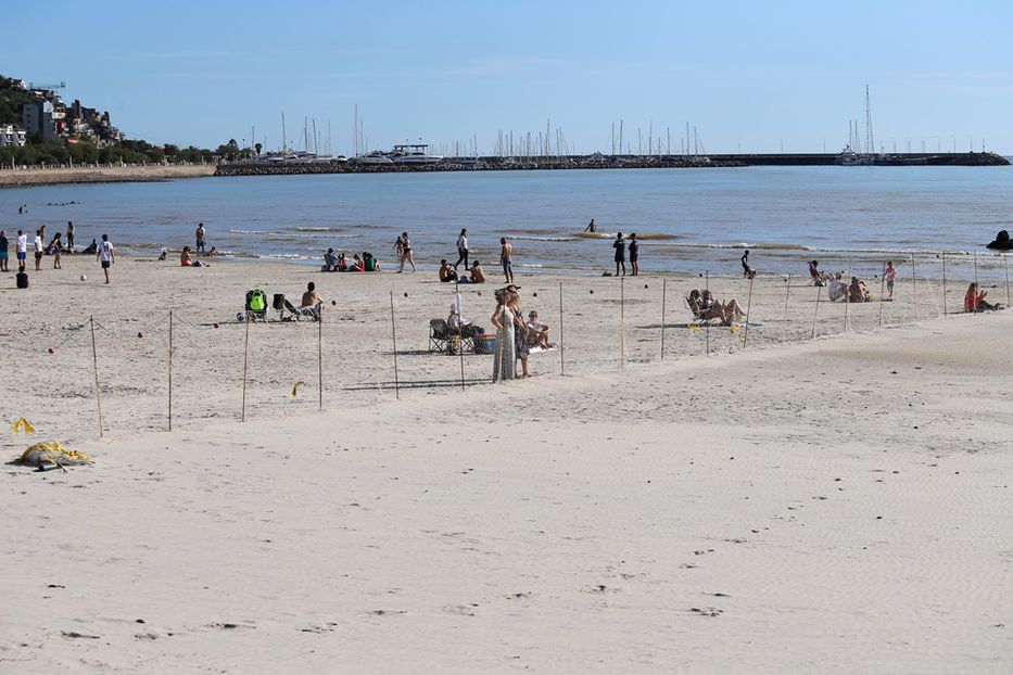 Foto: Intendencia de Maldonado