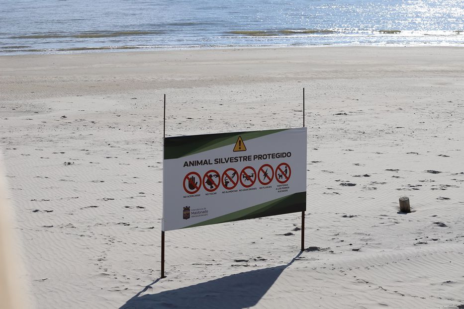 Foto: Intendencia de Maldonado