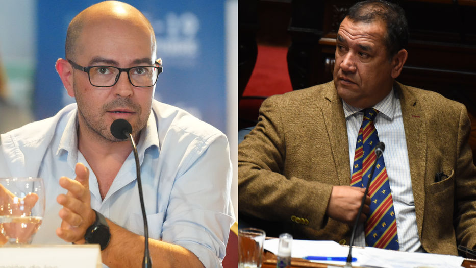 Sin pelos en la lengua