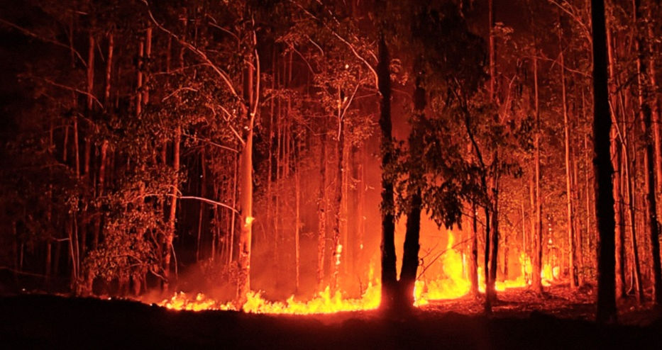 Para tener en cuenta