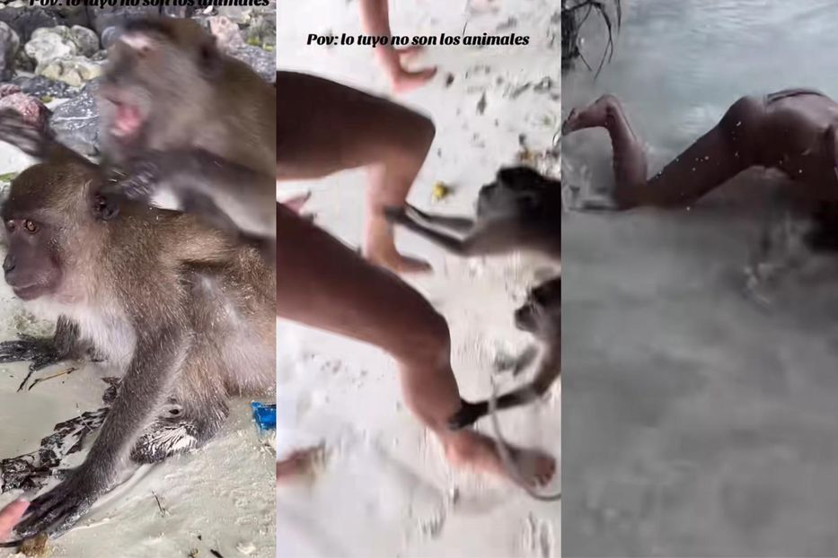 Se le fueron al humo