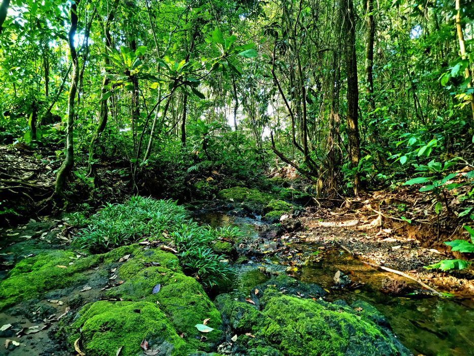 Foto: Kike Fenollosa