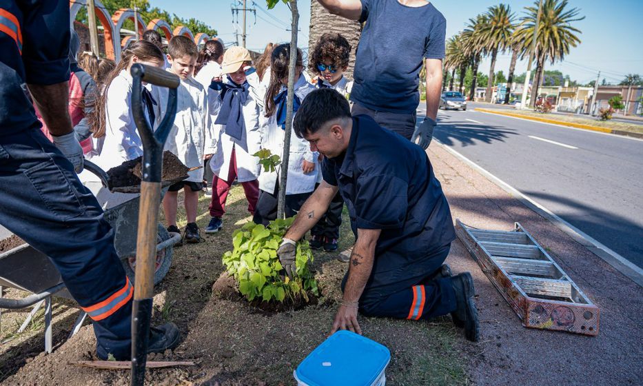 Plantar para el futuro
