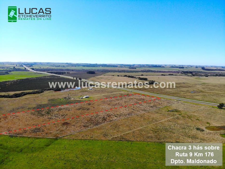 Foto: cedida a Montevideo Portal