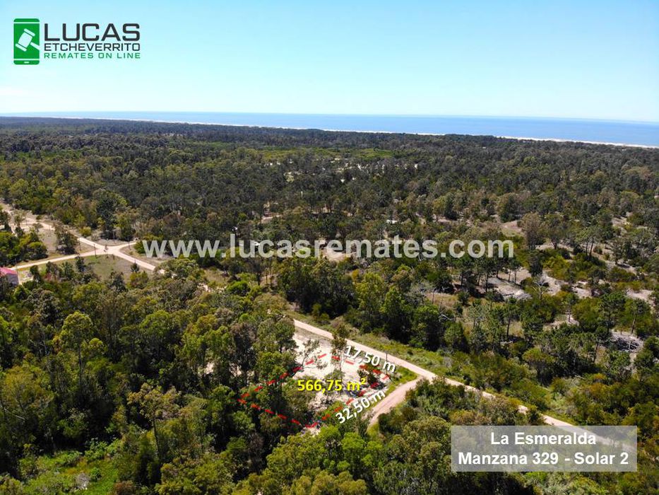 Foto: Montevideo Portal