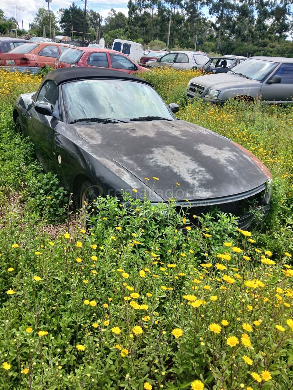 Foto: Enrique Fernando Viera de Britos