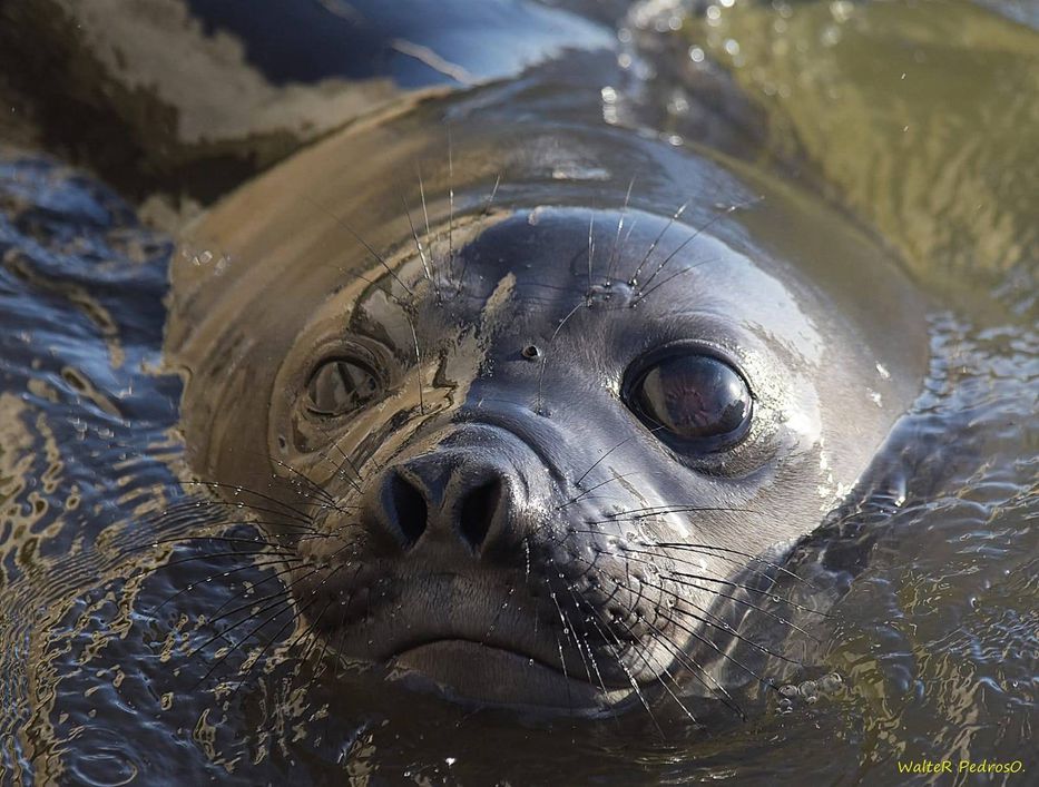 Que haga 8 horas y pague impuestos