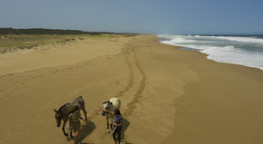 Para disfrutar al máximo