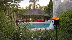 Más de lo que imaginás