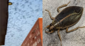 Villanos de historia mal contada