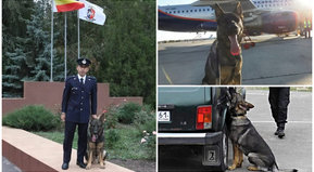 Una historia conmovedora