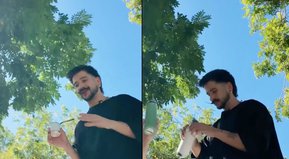 Que comience la función