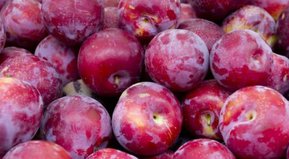 No combinar con mate