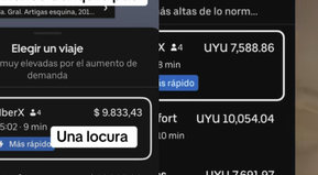 Punta people problems