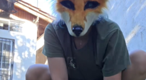 What does the fox say