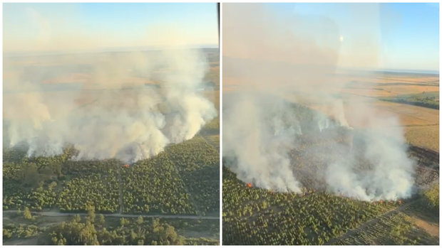 Foto: Captura de video