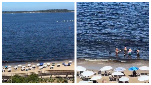 Foto: captura de video Leo Sarro