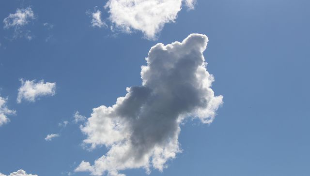 Porque yo soy un indeciso