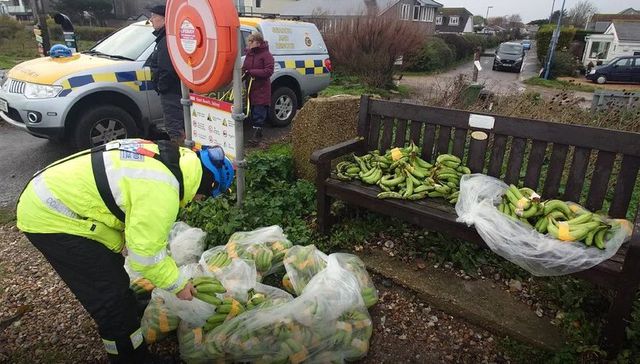 Si la vida te da bananas