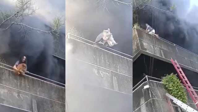 Las prioridades claras