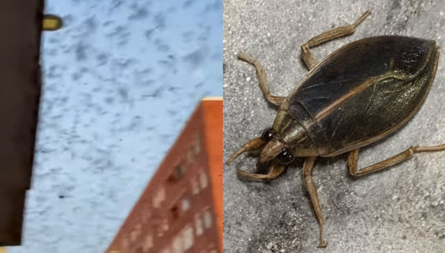 Villanos de historia mal contada