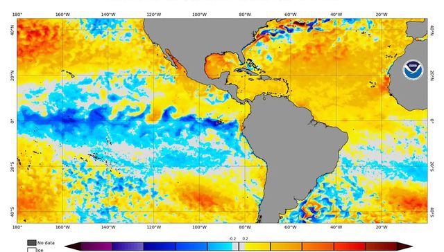 Hay fútbol señores