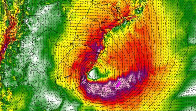 Se me vuelan los jazmines