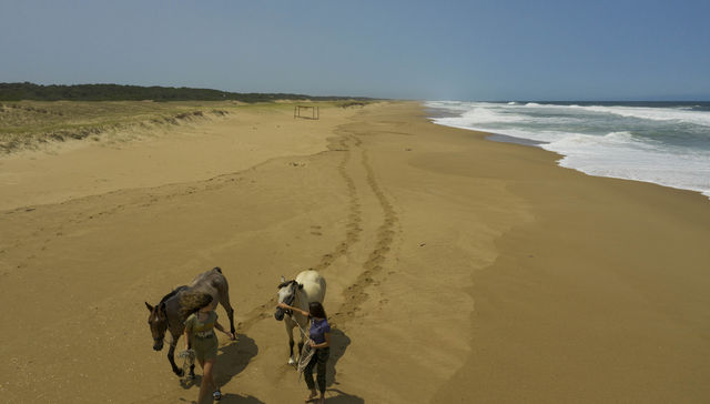 Para disfrutar al máximo