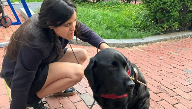 Un perruno, un amigo