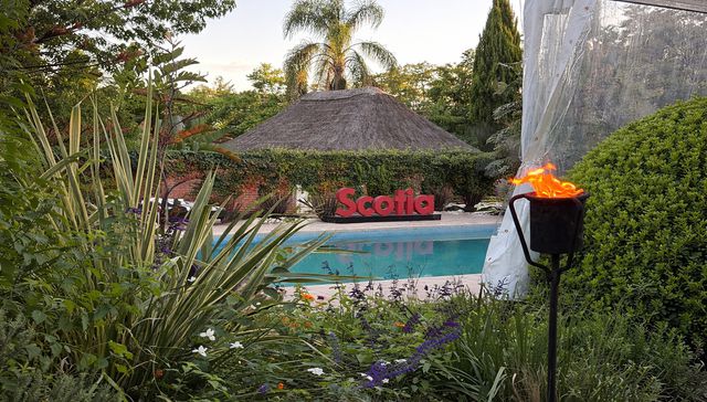 Más de lo que imaginás