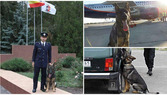 Una historia conmovedora