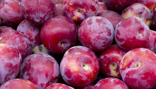 No combinar con mate