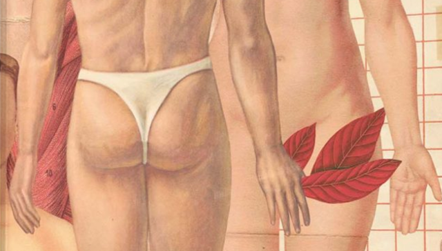 Caos en el Sigmund Hotel