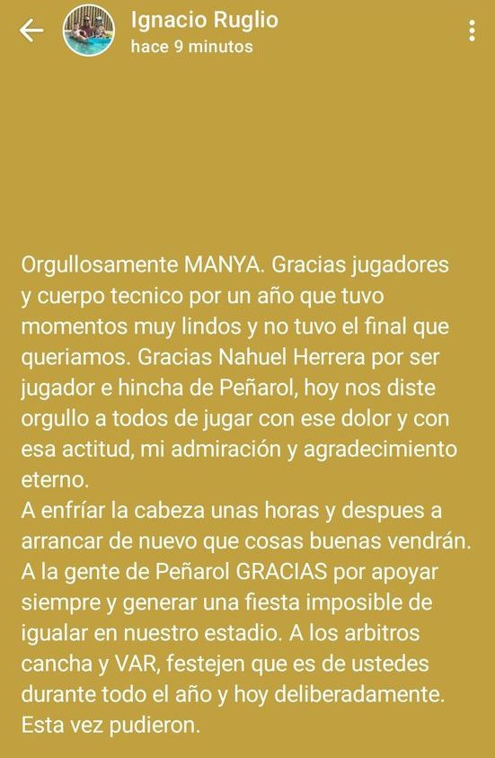 Foto: Estado de WhatsApp de Ignacio Ruglio