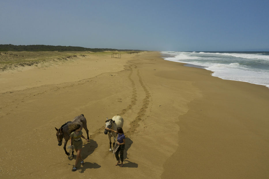 Para disfrutar al máximo