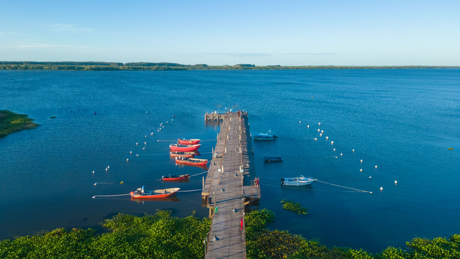 Foto: cedida a Montevideo Portal