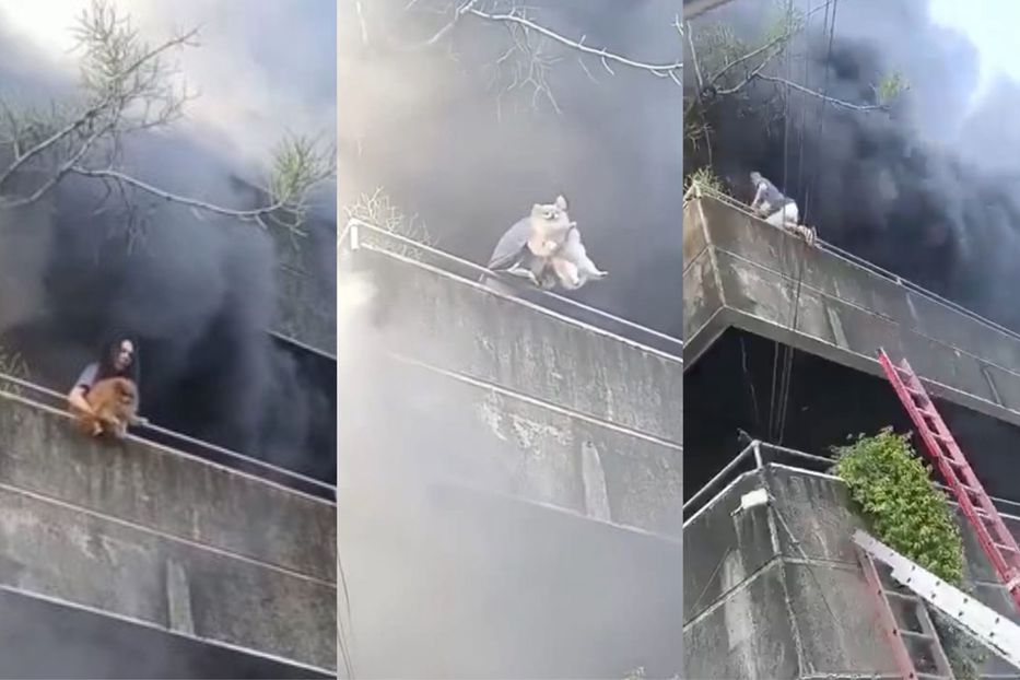 Las prioridades claras