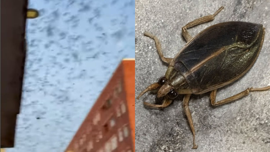 Villanos de historia mal contada