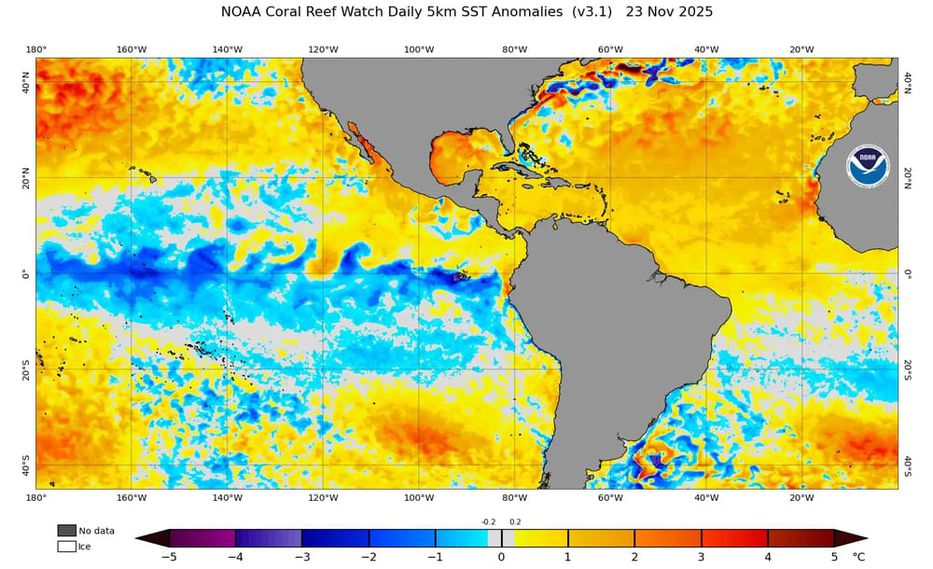 Hay fútbol señores