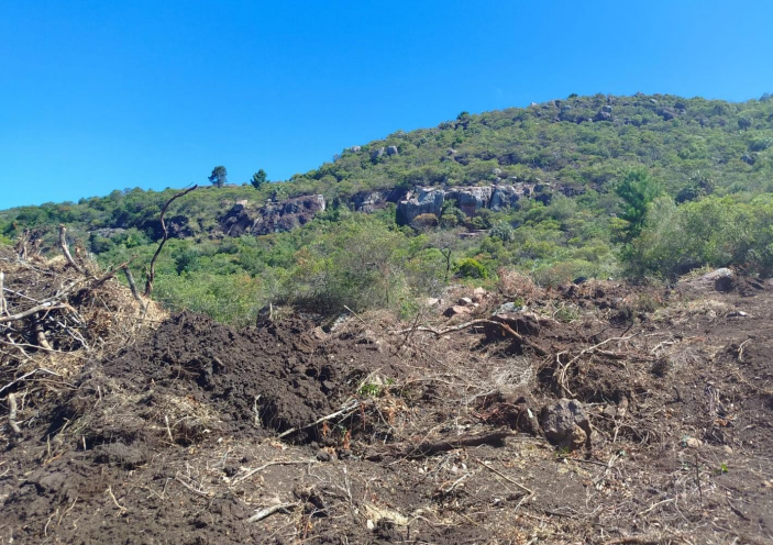 Foto: cedida a Montevideo Portal