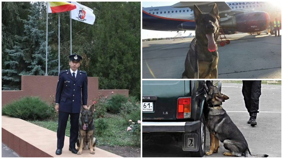 Una historia conmovedora