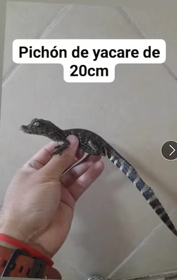 Foto: DDI La Matanza