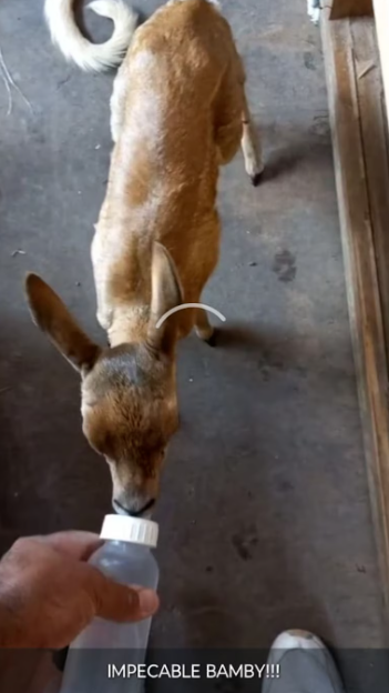 Foto: DDI La Matanza