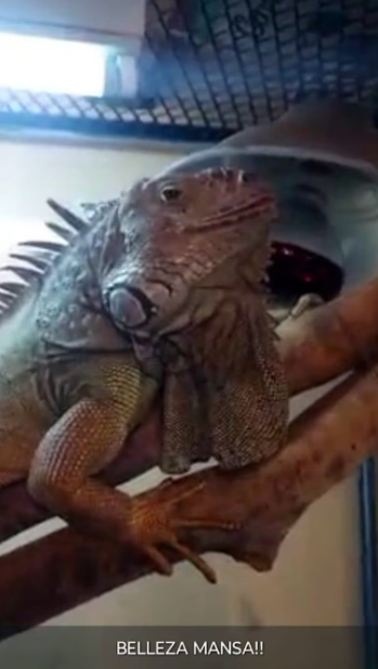 Foto: DDI La Matanza