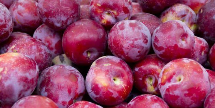 No combinar con mate