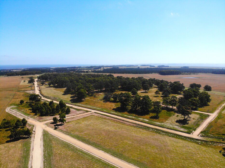 Foto: cedida a Montevideo Portal