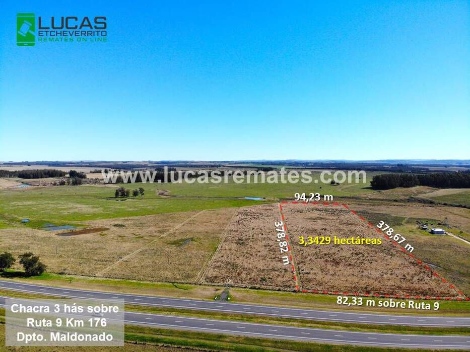 Foto: cedida a Montevideo Portal