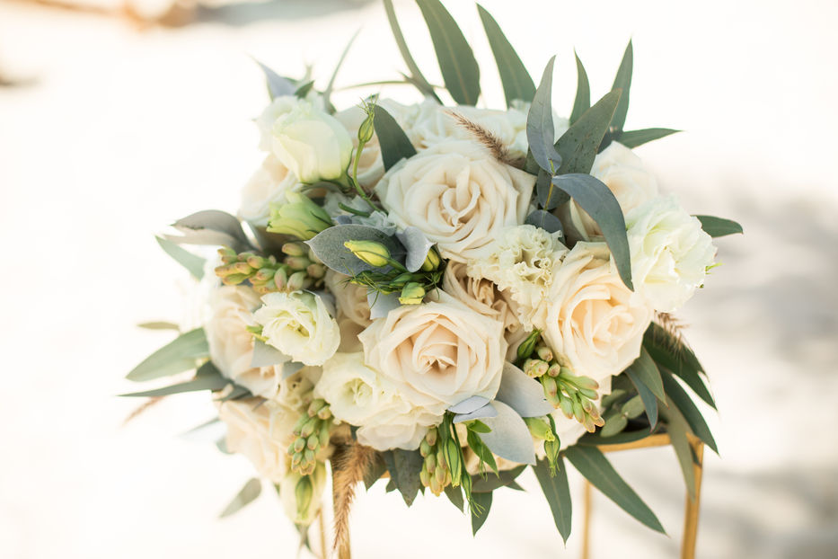 Imágenes cedidas a Montevideo Portal por RCD Hotels