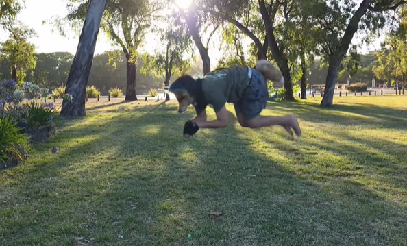 Foto: captura de las redes sociales (@fox_cor)